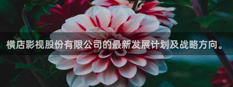 金桔直播視頻觀看：橫店影視股份有限公司的最新發(fā)展計(jì)劃及戰(zhàn)略方向。