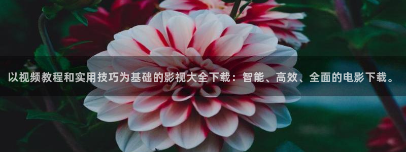 金桔直播免費視頻：以視頻教程和實用技巧為基礎的影視大全下載：智能、高效、全面的電影下載。