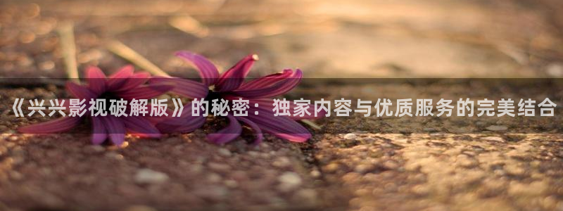 金桔 影視：《興興影視破解版》的秘密：獨家內容與優質服務的完美結合