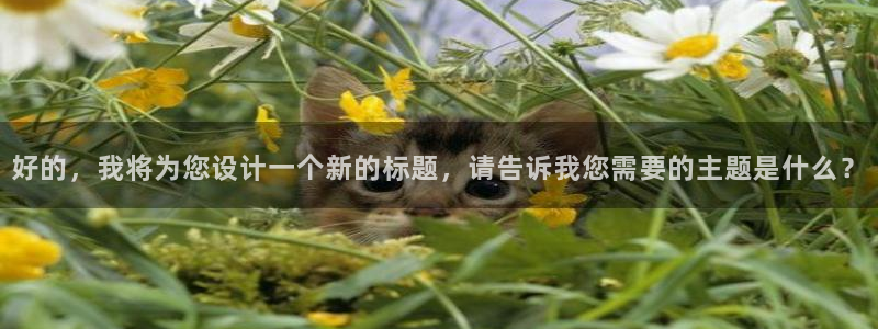 金桔影視在線觀看：好的，我將為您設計一個新的標題，請告訴我您需要的主題是什么？