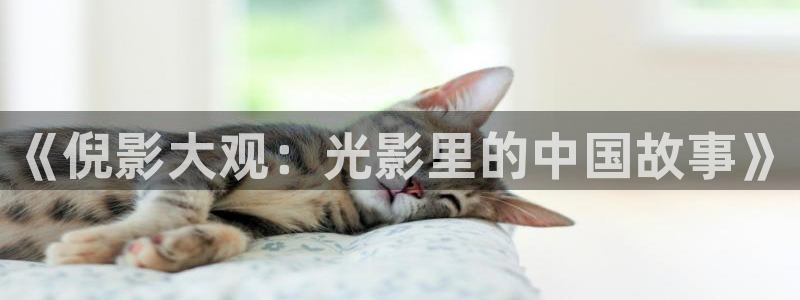 金桔視頻：《倪影大觀：光影里的中國故事》
